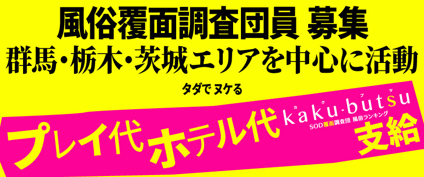 群馬 https://fuzoku.sod.co.jp/sp/recruit/kitakantou.html