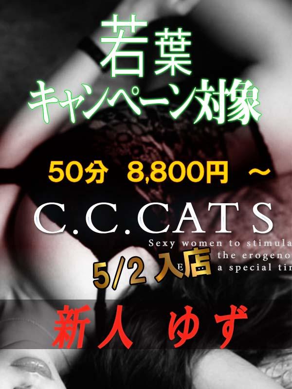 C.C.Cats：ゆず